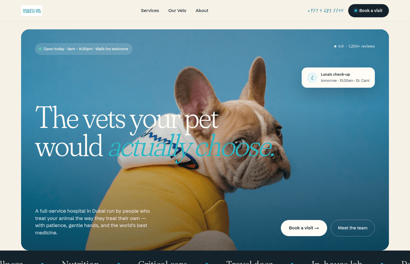 Vet demo homepage
